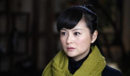 戴娇倩主演的电视剧大全,演绎人生百态，诠释情感纠葛